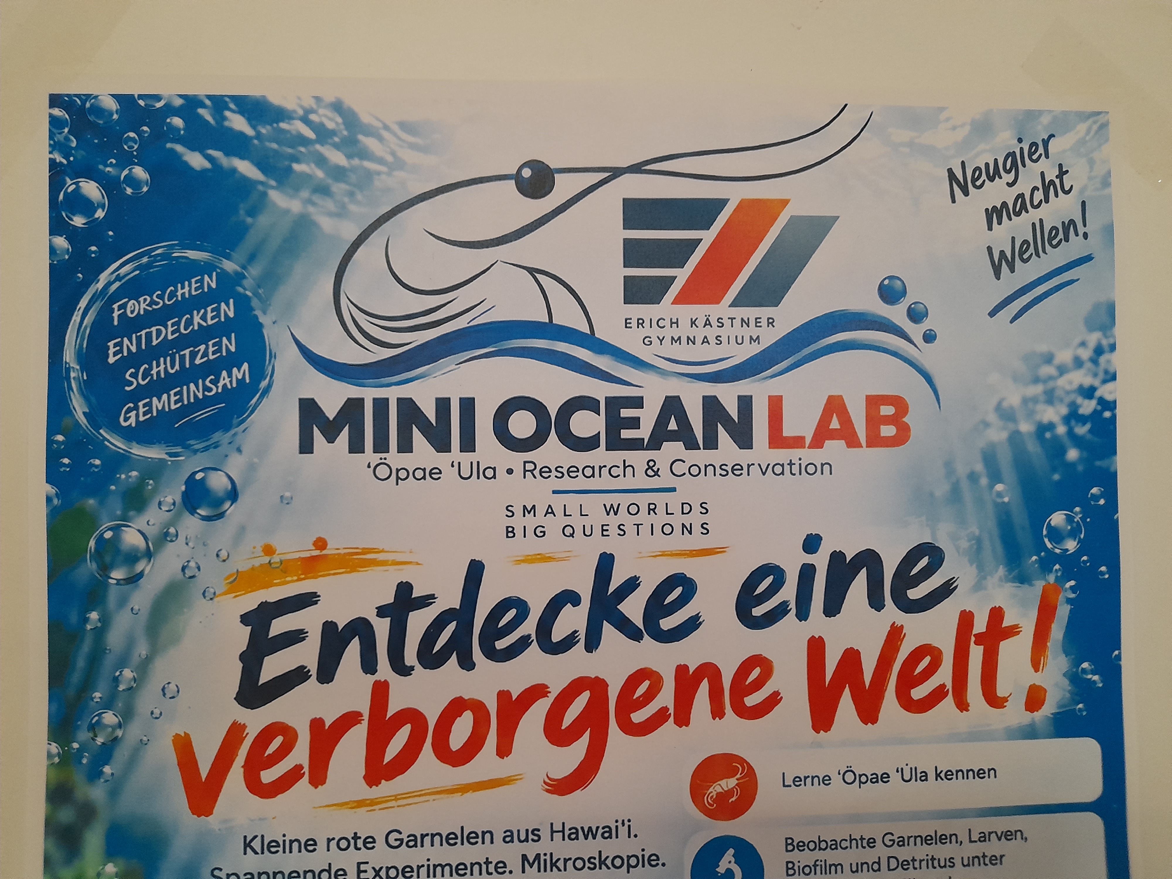 Angebote an AGs